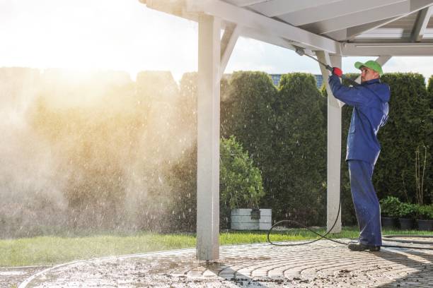 Best Roof Washing  in Big Pine, CA